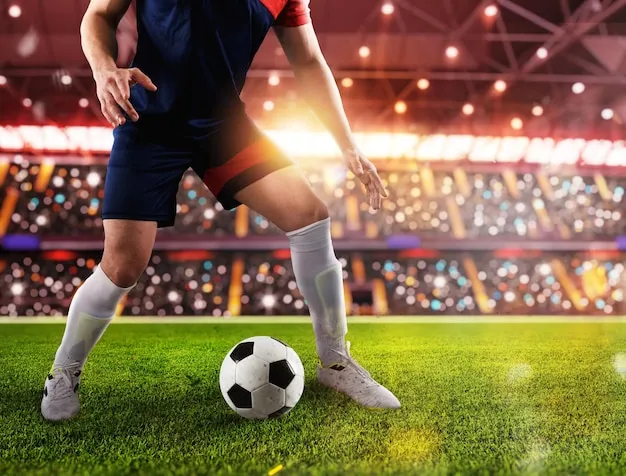 熊猫体育应用界面展示